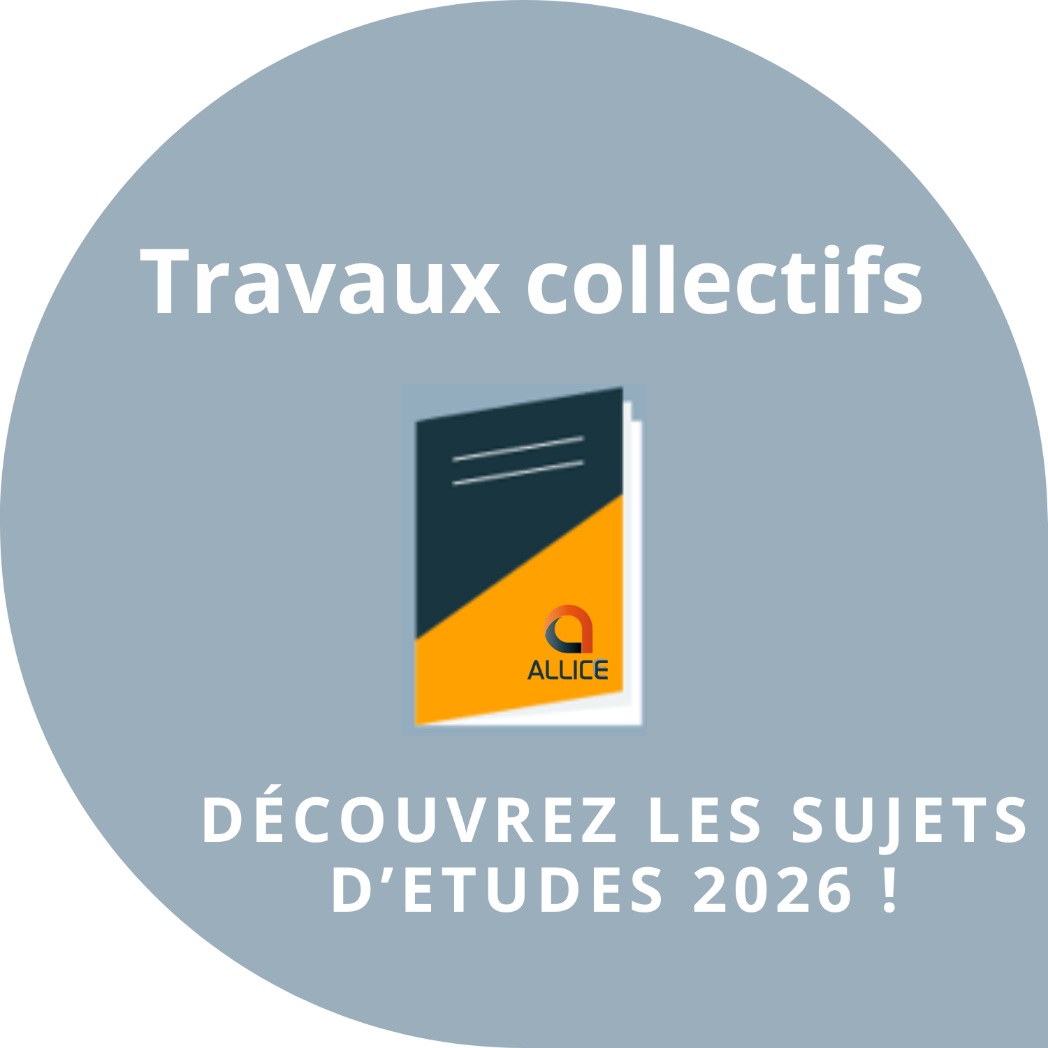 TRAVAUX_COLLECTIFS_2026