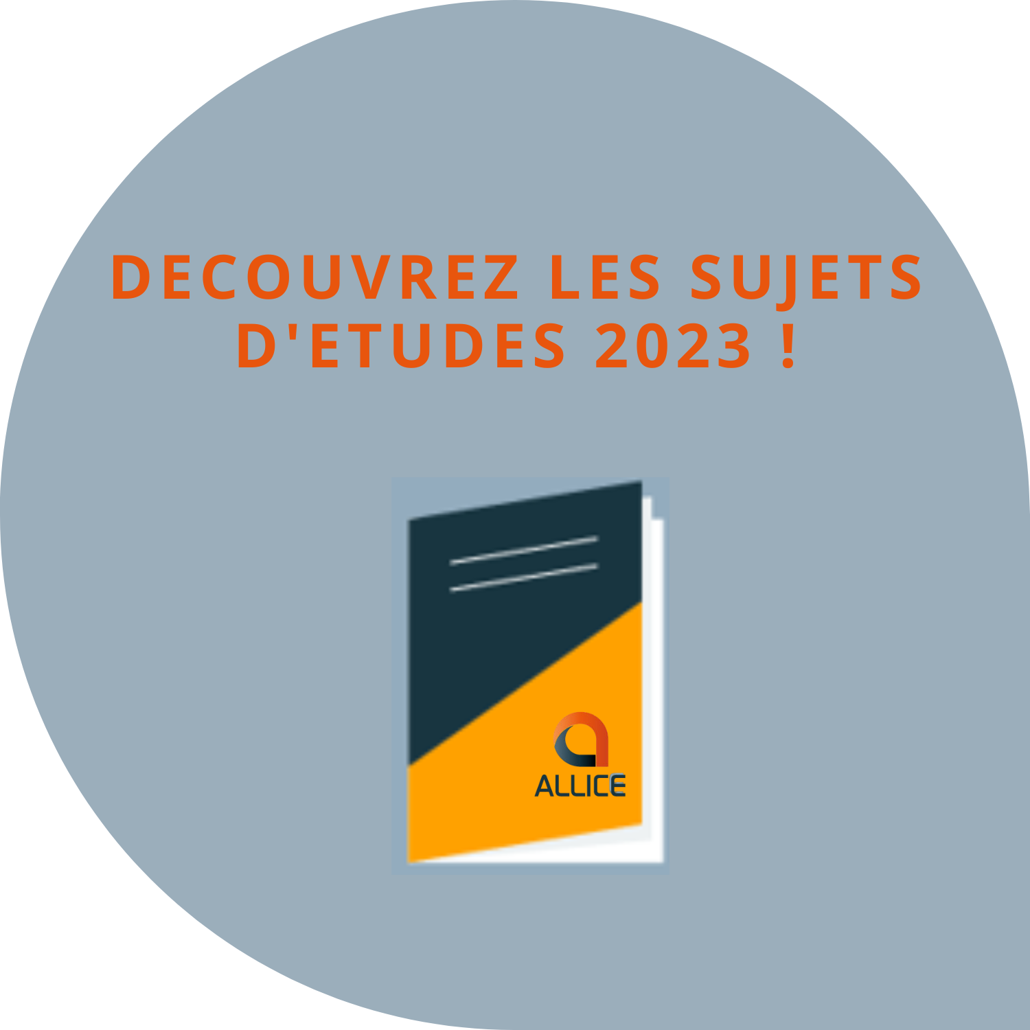 A_de_Allice_-_Actus_site_internet A_de_Allice_-_Actus_site_internet